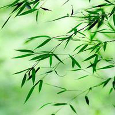 平行修行录游戏(暂未上线)v1.0 安卓版